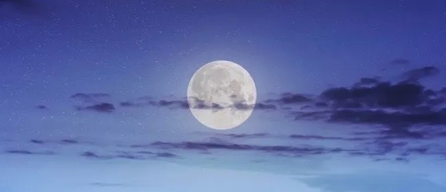OnlyFans cuenta callsmemoonlight header 2