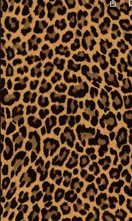 OnlyFans cuenta blackbossiqueen header 2