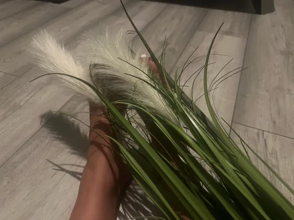 OnlyFans cuenta feetie_may header 2