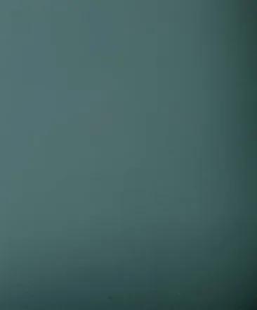 OnlyFans cuenta jensberg header 1