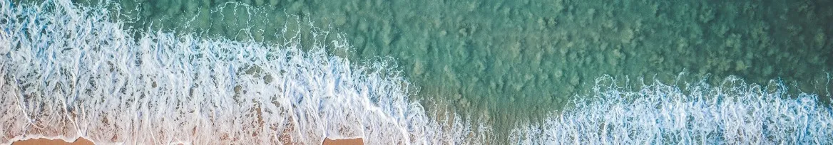 OnlyFans cuenta animazingnessie header 2
