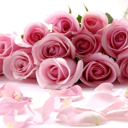 OnlyFans cuenta missariesrose header 2