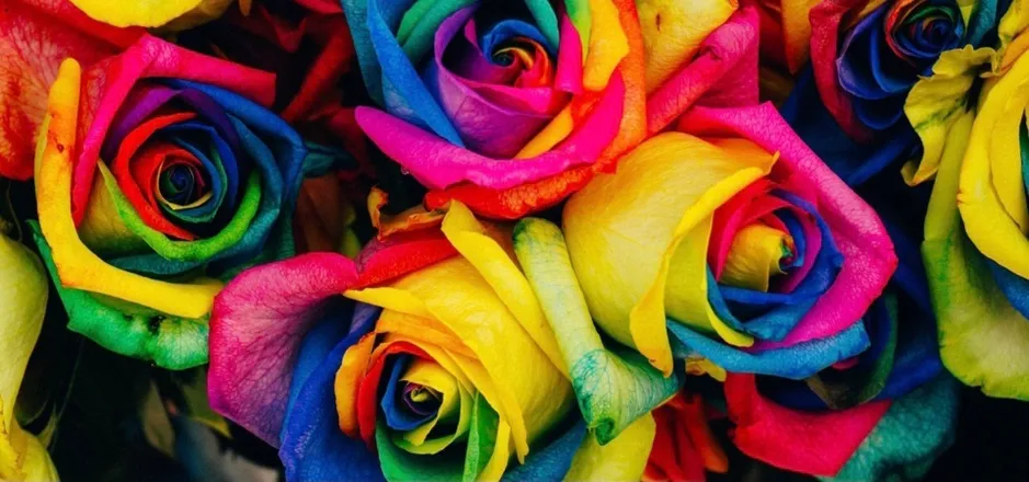 OnlyFans cuenta jhenerea header 2