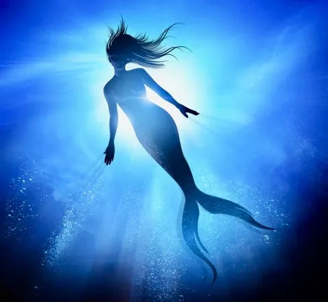 OnlyFans cuenta wettmermaidd header 1
