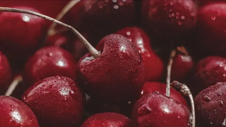 OnlyFans cuenta rott3ncherry header 2