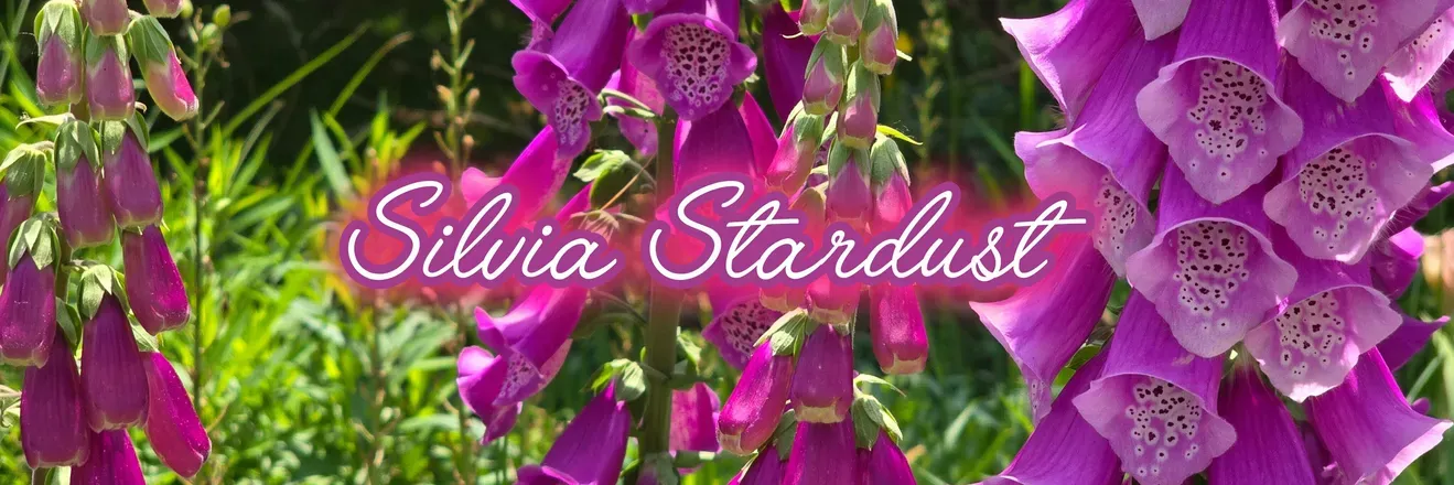 OnlyFans cuenta silviastardust header 2