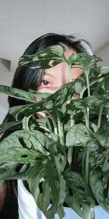 OnlyFans cuenta spiceyjasmine avatar 1