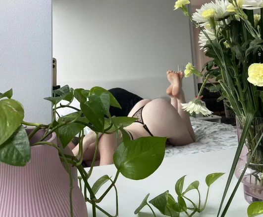 OnlyFans cuenta violet_ivyxx header 2