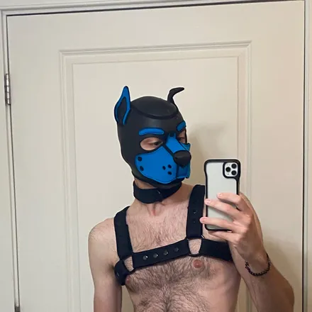 OnlyFans cuenta puppatch333 header 2