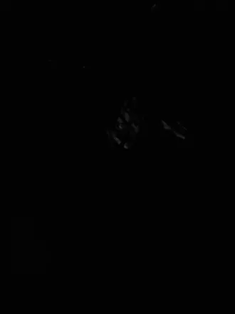 OnlyFans account  lebrainjames header 1