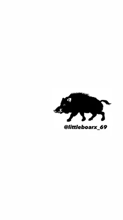 OnlyFans cuenta littleboarx_69 header 2