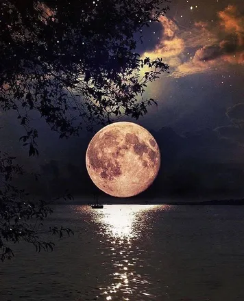 OnlyFans cuenta lickthismoon header 2