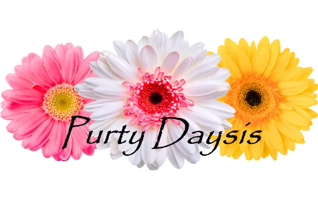 OnlyFans cuenta purty_daysis header 2