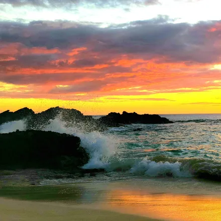 OnlyFans cuenta hawaiianlove808 header 2