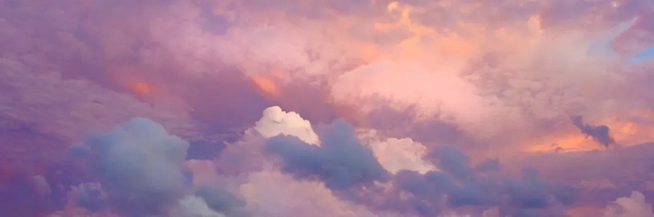 OnlyFans cuenta little_sun_flower header 2