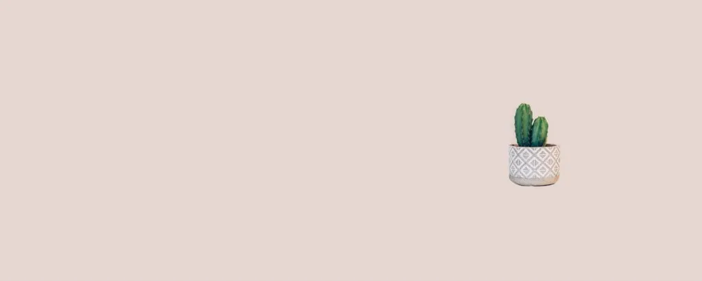 OnlyFans cuenta kittenpaw101 header 2