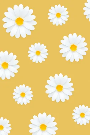 OnlyFans account  xx_princessparis13 header 2
