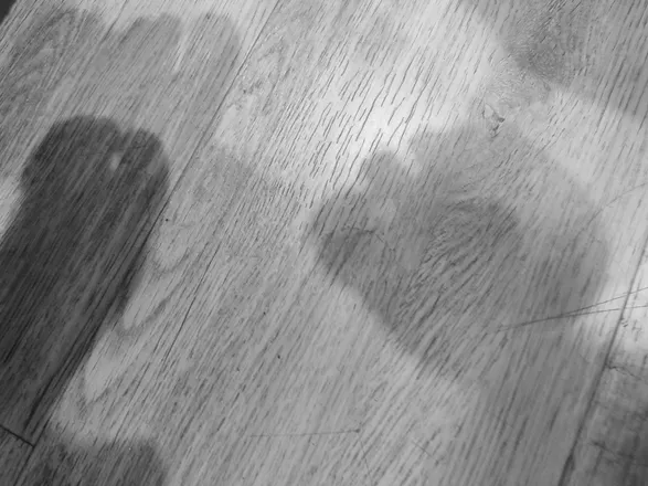OnlyFans cuenta pollicina69 header 2
