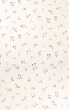 OnlyFans cuenta pinkgoddessval header 2