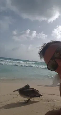 OnlyFans cuenta puntacana9 avatar 1