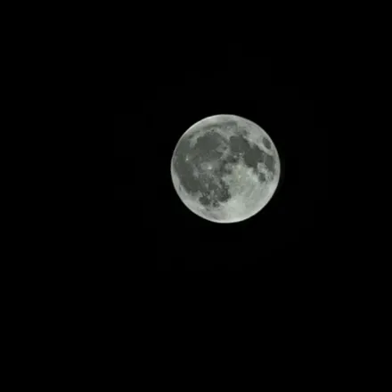 OnlyFans cuenta spookybigwitch header 2