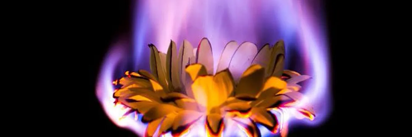 OnlyFans cuenta inferno_daisy header 2