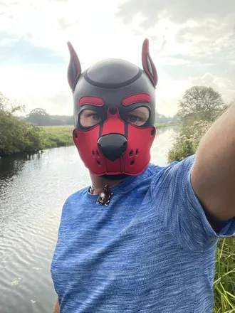 OnlyFans cuenta adidaspaws avatar 1