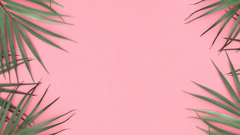 OnlyFans cuenta no_face_babe01 header 2