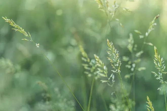 OnlyFans cuenta sagedaniels header 2