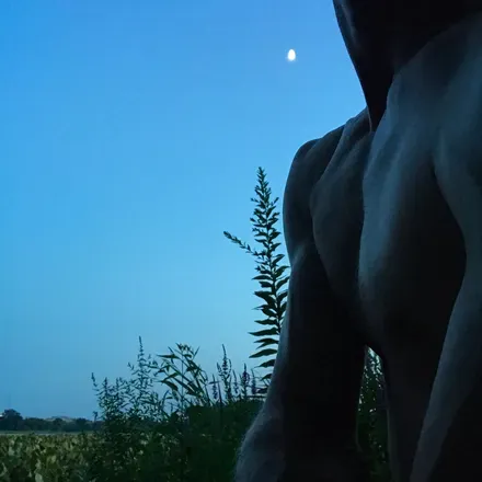OnlyFans account  onlinefaun avatar 1