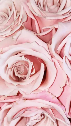 OnlyFans cuenta jv12099_ header 2