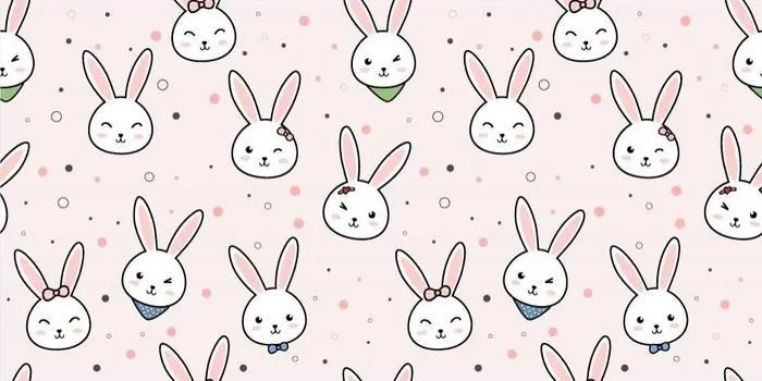 OnlyFans cuenta shyfeetbunny header 2