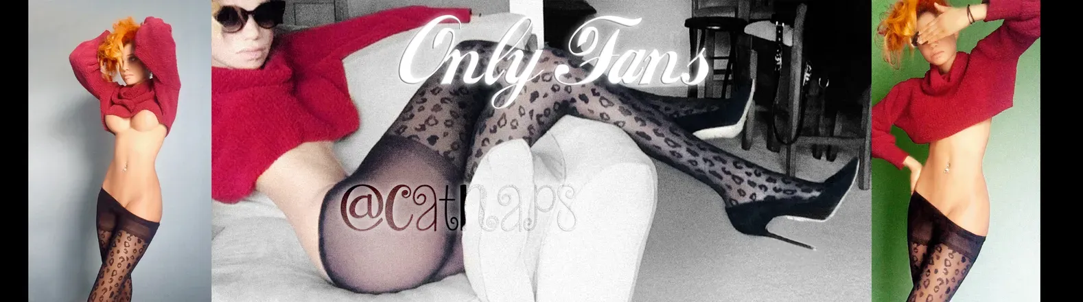 OnlyFans account  catnaps header 2
