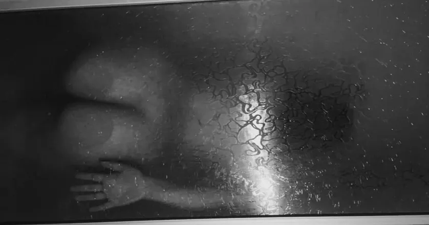 OnlyFans cuenta antonina_conn1 header 2