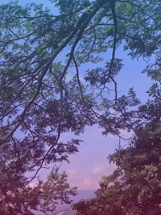 OnlyFans cuenta tuchiquita098 header 2