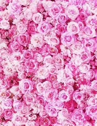 OnlyFans cuenta jeannecoxxx header 2