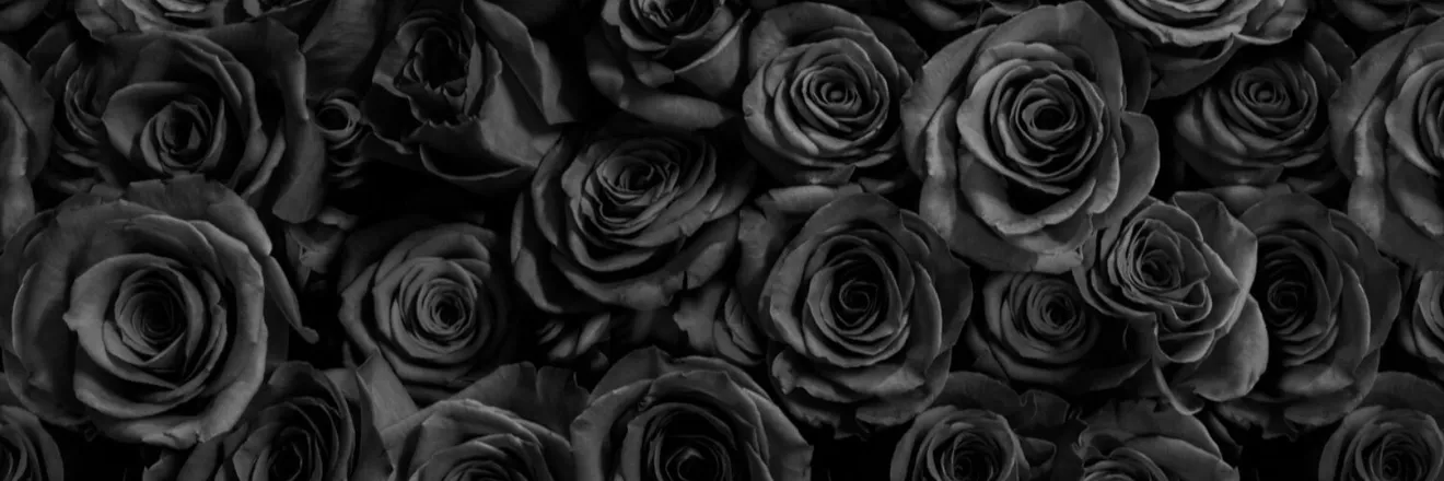 OnlyFans cuenta native_princess69 header 2
