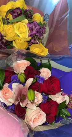 OnlyFans cuenta barbsangz header 2