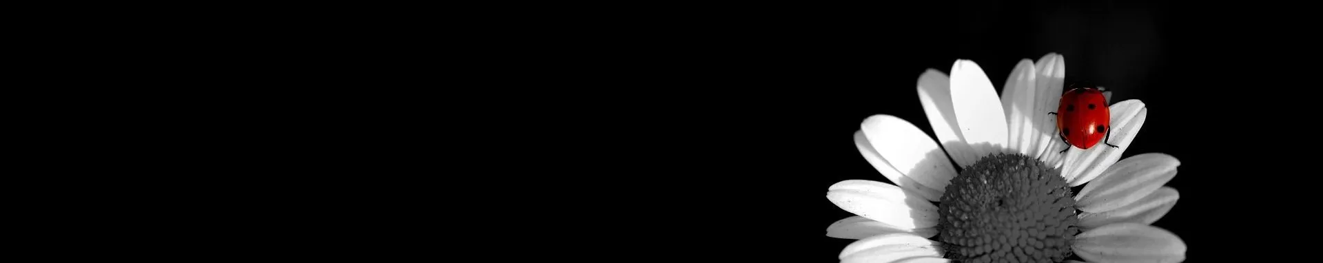 OnlyFans cuenta apheria.goode header 2