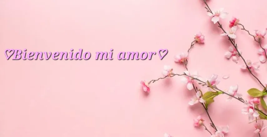 OnlyFans cuenta yimecam header 2