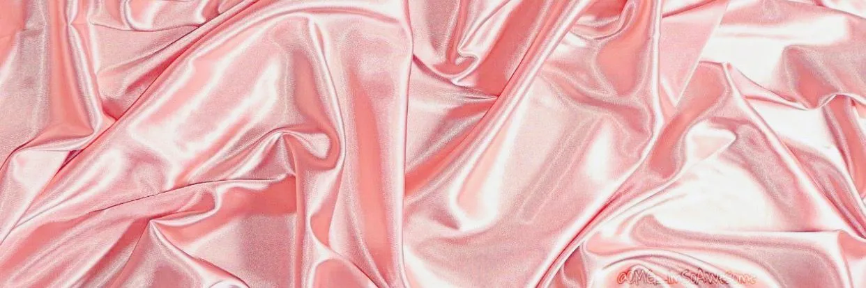 OnlyFans cuenta prinxessminx header 2