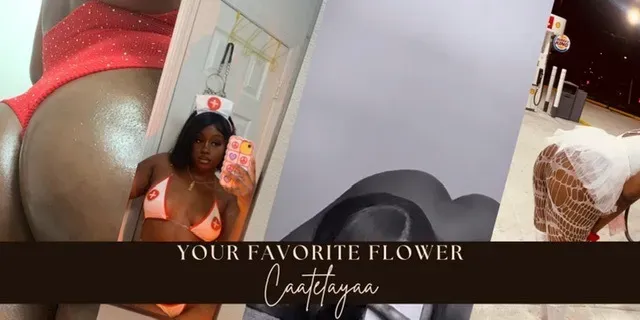 OnlyFans account  caatelayaa header 2