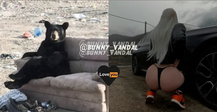 OnlyFans cuenta bunny_vandal header 2