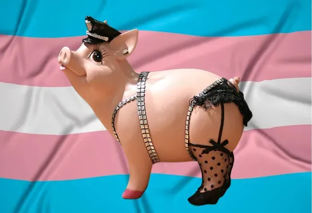 OnlyFans cuenta oinkhot header 2