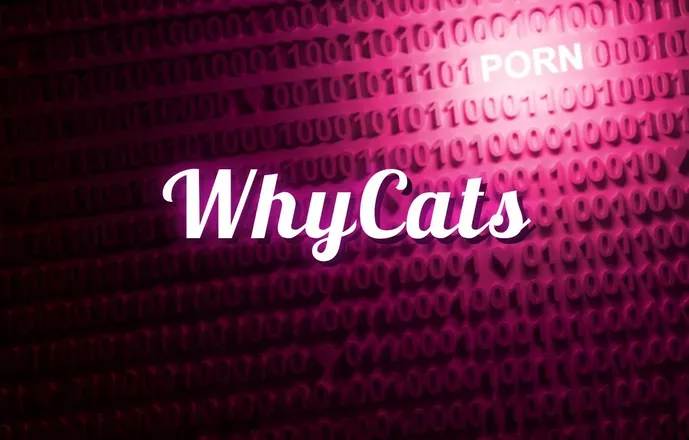OnlyFans account  whycats avatar 1
