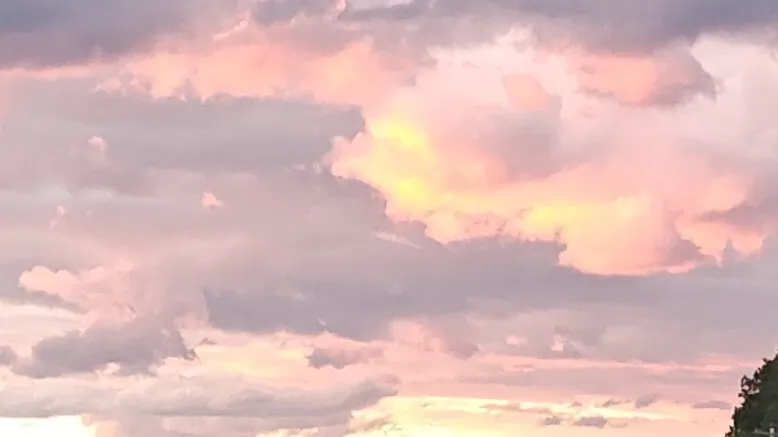 OnlyFans account  sexylongsword header 2