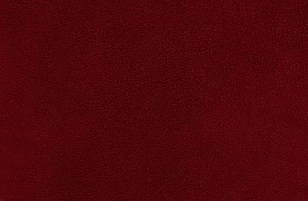 OnlyFans account  randomcatalog header 1