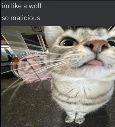 OnlyFans cuenta furrydayz header 2