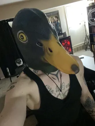 OnlyFans account  onlyquacks avatar 1