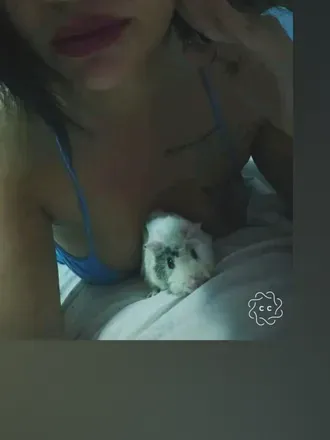 OnlyFans cuenta sujinldz avatar 1